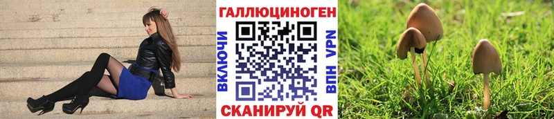 цена наркотик  Кыштым  Псилоцибиновые грибы прущие грибы 